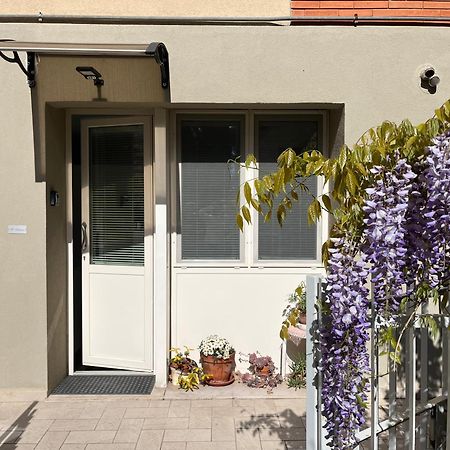 Il Glicine - Monolocale A Due Passi Dal Centro Villa อูร์บีโน ภายนอก รูปภาพ