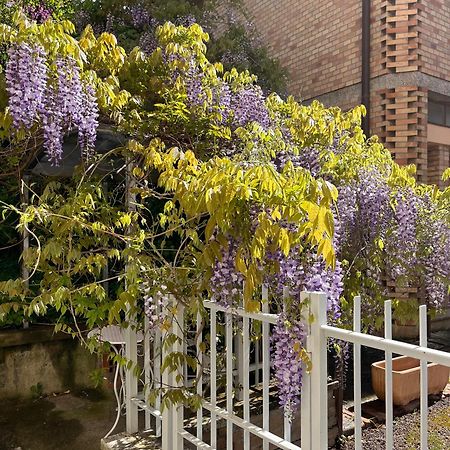 Il Glicine - Monolocale A Due Passi Dal Centro Villa อูร์บีโน ภายนอก รูปภาพ