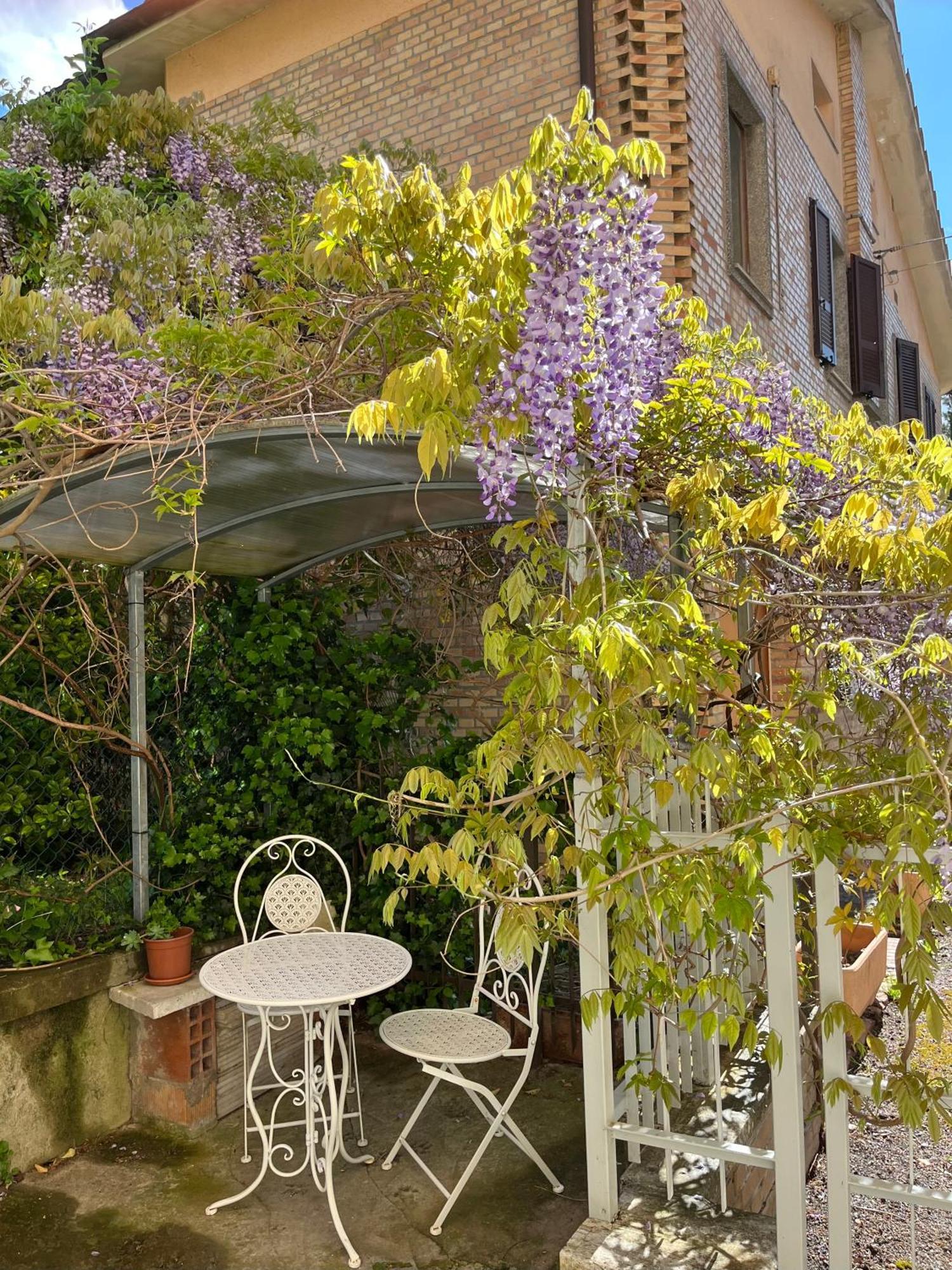 Il Glicine - Monolocale A Due Passi Dal Centro Villa อูร์บีโน ภายนอก รูปภาพ